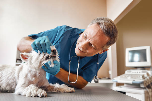 Best Emergency Treatment for Dental Infections or Abscesses in Greenfield, WI